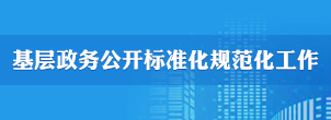 基層政務公開標準化規范化工作